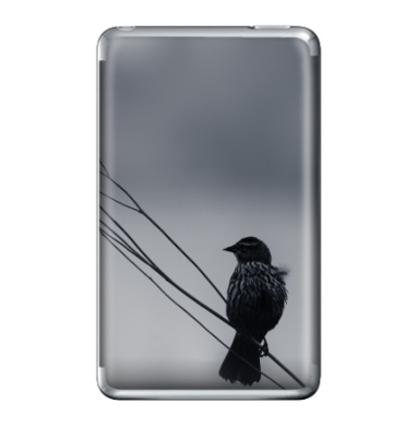 Монохромная птица на ветке в городском тумане - Виниловые наклейки на iPod Classic, страница 18