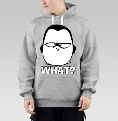 What? / Что?, Толстовка Mjhigh–Mel, утепленная