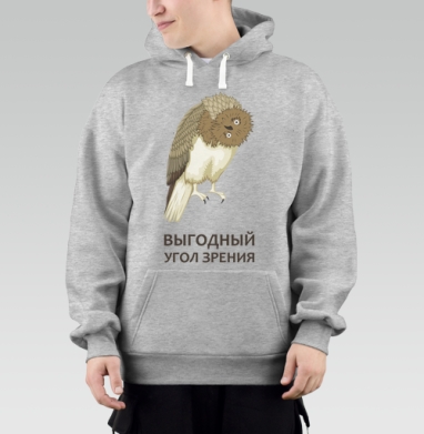 Ироничная сова с перевернутой головой и выгодным углом зрения, Толстовка Mjhigh–Mel, утепленная