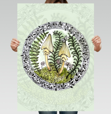 Поганки - В поиске гармонии
