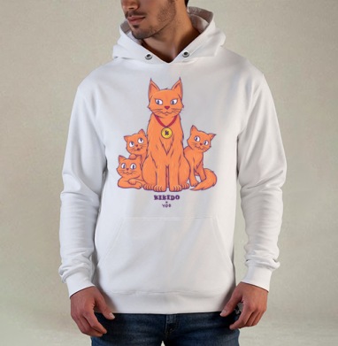 Коты и Котята, Толстовка белая Regular, утепленная
