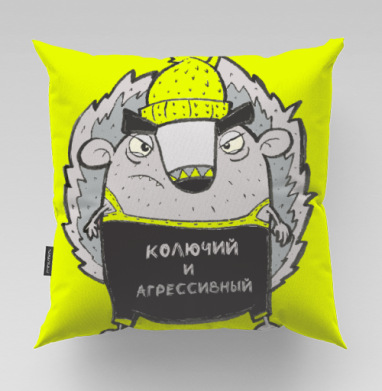 Милый колючий ёжик в яркой шапке-бини, Подушка велюр плюшевая 45х45