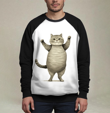 Веселый толстый кот с поднятыми лапками для настроения, Свитшот мужской 3D / хлопок