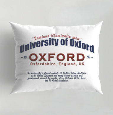University of Oxford академический престиж и интеллектуальный вес, Подушка декоративная 50х70 см