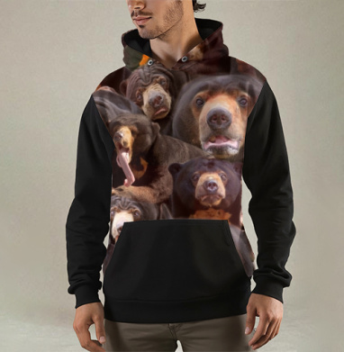 Солнечные мишы, Толстовка мужская Regular 3D