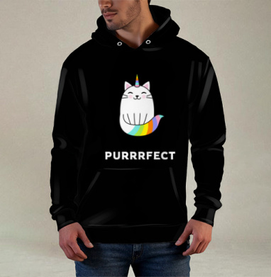 Милый единорог-кот с радужным рожком PURRRFECT, Худи / Мужская / С карманом / 3D