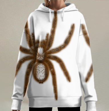 Коричневый паук птицеед в художественной форме на сером фоне, Hoodie Long Oversize 3D