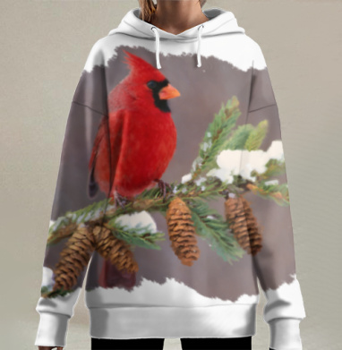 Яркий кардинал на снежной ветке зимой, Hoodie Long Oversize 3D