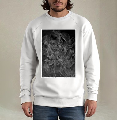 Солнечная неженка. Гравюра, Свитшот мужской белый