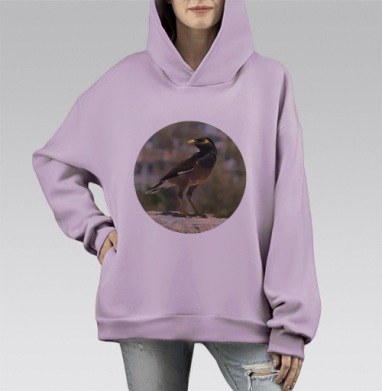 Стильное изображение птицы на камне в минимализме, Hoodie Mono Fiolet, оверсайз, утепленная