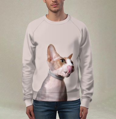 Кот-сексапил, Свитшот мужской 3D